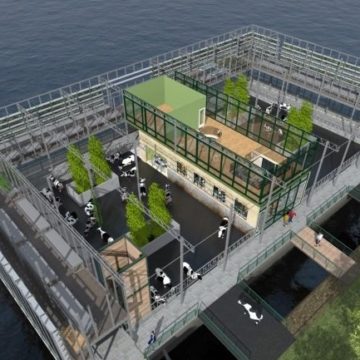 В Нидерландах откроют первую в мире плавучую ферму