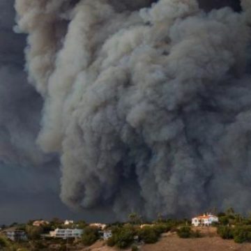 Количество жертв лесного пожара в Калифорнии возросло до 11